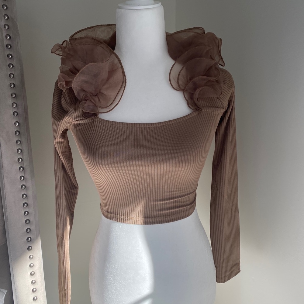 Zara Ruffle Organza Top NWT - Picture 10 of 10
